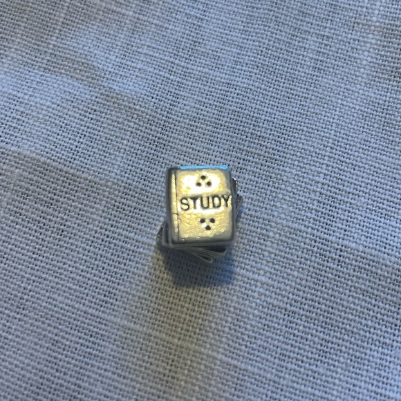 Textbook Pandora Charm - Picture 4 of 4